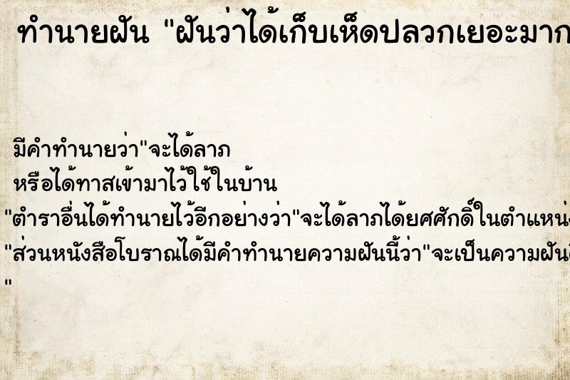 ทำนายฝัน ฝันว่าได้เก็บเห็ดปลวกเยอะมาก 